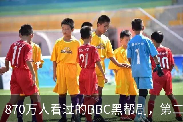 870万人看过的BBC黑帮剧，第二季没播就续订第三季